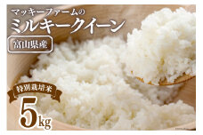 【期間限定発送】 米 令和6年 特別栽培米 ミルキークイーン 精米 5kg [マッキーファーム 富山県 朝日町 34310320] お米 白米 美味しい 農家 直送
