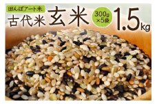 【期間限定発送】 米 田んぼアート 玄米 300g×5袋 [チュリストやまざき 富山県 朝日町 34310430] お米 古代米 コシヒカリ こしひかり 農家 直送