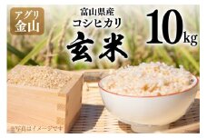 米 コシヒカリ 玄米 10kg [アグリ金山 富山県 朝日町 34310477] お米 美味しい こしひかり 富山 農家 直送 こめ おこめ コメ