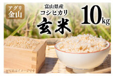 米 令和7年 コシヒカリ 玄米 10kg [アグリ金山 富山県 朝日町 34310565] お米 美味しい こしひかり 富山 農家 直送 こめ おこめ コメ