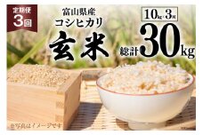 3回 定期便 米 コシヒカリ 玄米 10kg ×3回 総計 30kg [アグリ金山 富山県 朝日町 34310433] お米 美味しい こしひかり ご飯 ごはん 富山県産 数量限定 農家 直送