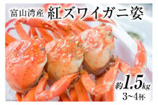 富山湾産 紅 ズワイガニ 姿 ボイル 約 1.5kg（3～4杯） [寺田鮮魚店 富山県 朝日町 34310444] かに カニ 蟹 かにみそ カニ味噌 蟹味噌 新鮮 冷蔵 朝捕れ 