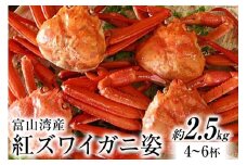 富山湾産 紅 ズワイガニ 姿 ボイル 約2.5kg（4～6杯） [寺田鮮魚店 富山県 朝日町 34310445] かに カニ 蟹 かにみそ カニ味噌 蟹味噌 新鮮 冷蔵 朝捕れ