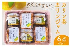 のどにやさしい カリン茶・カリンジャム セット [百河豚美術館 富山県 朝日町 34310396] ジャム 茶 お茶 加工品