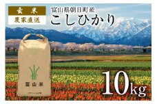 【期間限定発送】 玄米 令和7年産 こしひかり 10kg [クリーンみず穂 富山県 朝日町 34310537] お米 コシヒカリ コメ 10キロ ご飯 ごはん 農家 直送 おこめ こめ