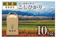 【期間限定発送】 玄米 令和7年産 こしひかり 10kg [クリーンみず穂 富山県 朝日町 34310537] お米 コシヒカリ コメ 10キロ ご飯 ごはん 農家 直送 おこめ こめ