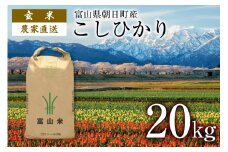 【期間限定発送】 玄米 令和7年産 こしひかり 20kg [クリーンみず穂 富山県 朝日町 34310538] お米 コシヒカリ コメ 20キロ ご飯 ごはん 農家 直送 おこめ こめ