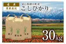 【期間限定発送】 玄米 令和7年産 こしひかり 計30kg 10kg 3袋 [クリーンみず穂 富山県 朝日町 34310539] お米 コシヒカリ コメ 30キロ ご飯 ごはん 農家 直送 おこめ こめ