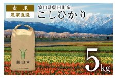 【期間限定発送】 玄米 令和7年産 こしひかり 5kg [クリーンみず穂 富山県 朝日町 34310536] お米 コシヒカリ コメ 5キロ ご飯 ごはん 農家 直送 おこめ こめ