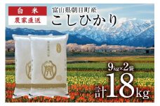 【期間限定発送】 米 令和7年産 こしひかり 精米 計18kg 9kg 2袋 [クリーンみず穂 富山県 朝日町 34310541] お米 コシヒカリ コメ 18キロ ご飯 ごはん 白米 産地直送 一等米 おこめ こめ