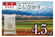 【期間限定発送】 米 令和7年産 こしひかり 精米 4.5kg [クリーンみず穂 富山県 朝日町 34310533] お米 コシヒカリ コメ 4.5キロ ご飯 ごはん 白米 産地直送 一等米 おこめ こめ