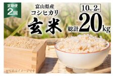 2回 定期便 米 コシヒカリ 玄米 10kg ×2回 総計 20kg [アグリ金山 富山県 朝日町 34310432] お米 美味しい こしひかり ご飯 ごはん 富山県産 数量限定 農家 直送