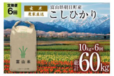 【6ヶ月定期便】玄米  こしひかり 10kg 計60kg [有限会社 クリーンみず穂 富山県 朝日町 34310354] 米 お米 コシヒカリ コメ ご飯 ごはん 白米 農家 直送 一等米