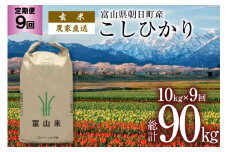 【9ヶ月定期便】玄米  こしひかり 10kg 計90kg [有限会社 クリーンみず穂 富山県 朝日町 34310355] 米 お米 コシヒカリ コメ ご飯 ごはん 白米 農家 直送 一等米