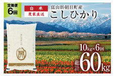 【6ヶ月定期便】米 こしひかり 精米 10kg 計 60kg [有限会社 クリーンみず穂 富山県 朝日町 34310351] お米 コシヒカリ コメ ご飯 ごはん 白米 農家 直送 一等米