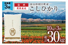 【3ヶ月定期便】米 こしひかり 精米 10kg 計30kg [有限会社 クリーンみず穂 富山県 朝日町 34310449] お米 コシヒカリ コメ ご飯 ごはん 白米 農家 直送 一等米