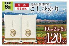 【6ヶ月定期便】米 20kg 精米 計120kg  [有限会社 クリーンみず穂 富山県 朝日町 34310357] お米 コシヒカリ コメ ご飯 ごはん 白米 農家 直送 一等米