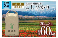 【3ヶ月定期便】玄米 20kg コシヒカリ 計60kg [有限会社 クリーンみず穂 富山県 朝日町 34310359] お米 コシヒカリ コメ ご飯 ごはん 白米 農家 直送 一等米