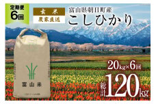 【6ヶ月定期便】玄米 20kg コシヒカリ [有限会社 クリーンみず穂 富山県 朝日町 34310360] お米 コシヒカリ コメ ご飯 ごはん 白米 農家 直送 一等米