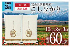 【3ヶ月定期便】米 20kg 精米 計60kg  [有限会社 クリーンみず穂 富山県 朝日町 34310443] お米 コシヒカリ コメ ご飯 ごはん 白米 農家 直送 一等米