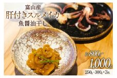 肝付き スルメイカ 魚醤油干し 約230g 3枚 [愛場商店 富山県 朝日町 34310486] 漁協直送 烏賊 イカ 魚介 海鮮 海の幸 新鮮 鮮度抜群