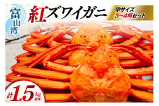 【期間限定発送】 【漁師厳選】 紅ズワイガニ ボイル済 中サイズ3～4杯 計1.5kg前後 [聖徳丸 富山県 朝日町 34310513] 海鮮 魚介類 カニ ベニズワイガニ 紅ズワイ ベニズワイ 紅ズワイ蟹 ボイル 冷蔵 ご褒美