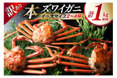 【期間限定発送】 【漁師厳選】 訳あり 本ズワイガニ ボイル済 2～4杯 計1kg前後 [聖徳丸 富山県 朝日町 34310515] 海鮮 魚介類 カニ ズワイガニ ずわい蟹 ズワイ蟹 ずわい ズワイ ボイル 冷蔵 ご褒美