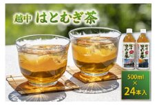 ハトムギ 茶 500ml 24本 入 1ケース [朝日町ハトムギ協議会 富山県 朝日町 34310459] 国産 ペットボトル はとむぎ茶 はと麦茶