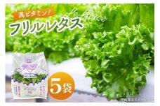 高ビタミン フリルレタス 100g 5袋 計500g [PBS 富山県 朝日町 34310474] 水耕栽培 レタス