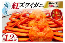 【11月配送】 カニ ベニズワイ 冷凍便 中サイズ 3杯 総計1.2kg以上 [聖徳丸 富山県 朝日町 34310501-11m] 年内配送 紅ズワイガニ ベニズワイガニ 紅ずわいがに