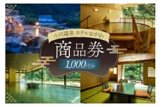 商品券 小川温泉 ホテルおがわ 1000円 1枚 [小川温泉開発 富山県 朝日町 34310497] 入浴券 宿泊 食事 旅行 温泉