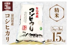 米 令和7年産 コシヒカリ 精米 5kg 3回 定期便 [サンライス青木 富山県 朝日町 34310564] お米 おこめ こめ kome コシヒカリ 精米 定期便 定期 5キロ 3ヶ月 令和7年 ごはん