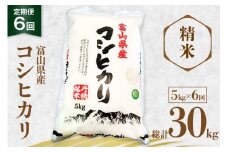 米 令和7年産 コシヒカリ 精米 5kg 6回 定期便 [サンライス青木 富山県 朝日町 34310563] お米 おこめ こめ kome コシヒカリ 精米 定期便 定期 5キロ 6ヶ月 令和7年 ごはん