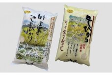白山市産　六星のお米セット（特上米こしひかり・六星米こしひかり　各5kg）