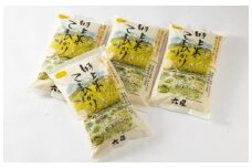 【定期便】白山市産　コシヒカリ　六星の特上米こしひかり　5kg×全4回