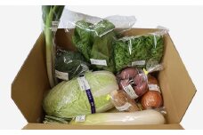 能登野菜おまかせセット