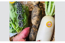 石川県産の人気野菜　贅沢詰め合わせ（秋冬）