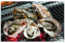 能登穴水の牡蠣（殻付き）　加熱用　5kg