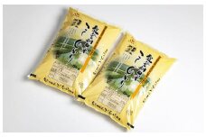 奥能登産　コシヒカリ　能登棚田米　5kg×2袋