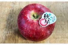 秋星　6個入