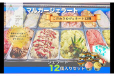 受賞・まるごと能登ジェラート　12個セット