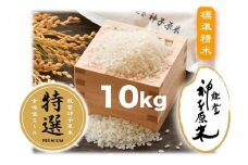羽咋市産　コシヒカリ　特選能登神子原米　10kg