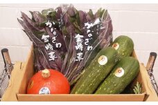 旬を味わう！石川県産の野菜セット