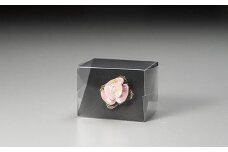 桜貝ブローチ＆ネックレストップ