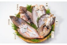 いしる干し　6種セット