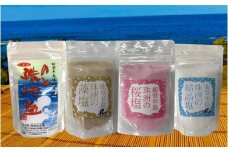 のと珠洲塩　珠洲のめぐみ　4点セット