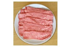 石川県産　能登牛　特選すき焼き用　600g　＜てらおかの能登牛＞寺岡畜産