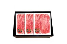 石川県産　能登牛特選スライス（切り落とし）200g×3パック　＜てらおかの能登牛＞寺岡畜産