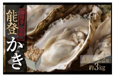 【復興支援】山口水産の能登かき殻付き 小缶 約3kg（18～22個）