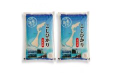 七尾産こしひかり10kg(精米5kg×2袋)　令和6年産